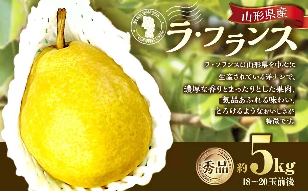 山形県産 ラ・フランス 約5kg 秀品 【2024年12月上旬～12月下旬発送予定】 洋梨 ラフランス 西洋梨 洋ナシ 洋なし ようなし 果物 くだもの フルーツ 山形
