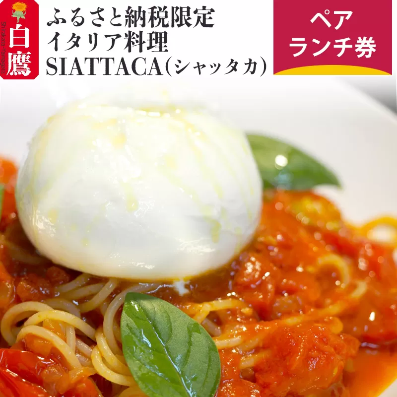 ふるさと納税限定 イタリア料理SIATTACA(シャッタカ) ペアランチ券