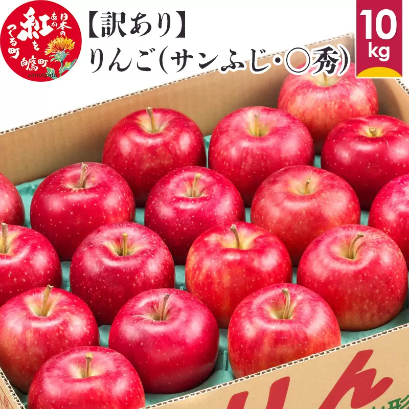 【訳あり】りんご（サンふじ・〇秀） 10kg 山形県産 フルーツ 果物 林檎 リンゴ 【2025年11月下旬-12月上旬発送予定】