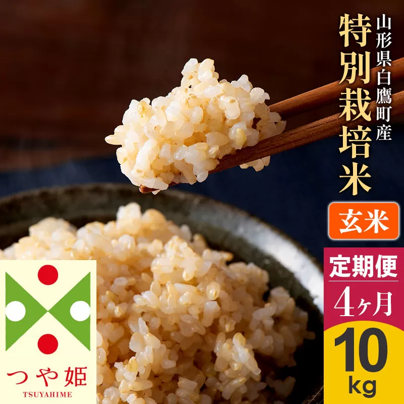 《定期便4ヶ月》【玄米】つや姫 10kg×4回（特別栽培米）令和5年産 山形県産 しらたかのお米