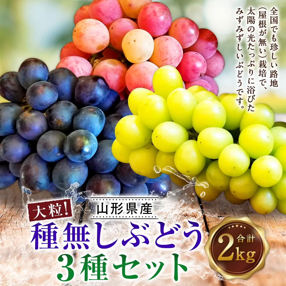 たっぷり日光を浴びたみずみずしい 種無しぶどう3種セット （シャインマスカット＋旬なぶどう） 2kg 【2025年9月下旬～10月上旬に順次発送予定】