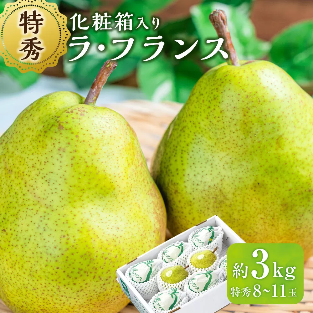 ラ・フランス （特秀） 3kg【化粧箱入り】 山形県産 フルーツ 果物 【2025年11月上旬-12月上旬発送予定】
