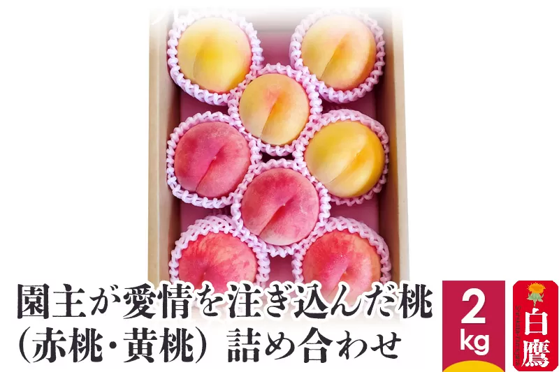 園主が愛情を注ぎ込んだ【桃】2kg 約6～11玉  (赤桃・黄桃)  詰め合わせ 山形県産 【2025年8月上旬から下旬までに順次発送予定】