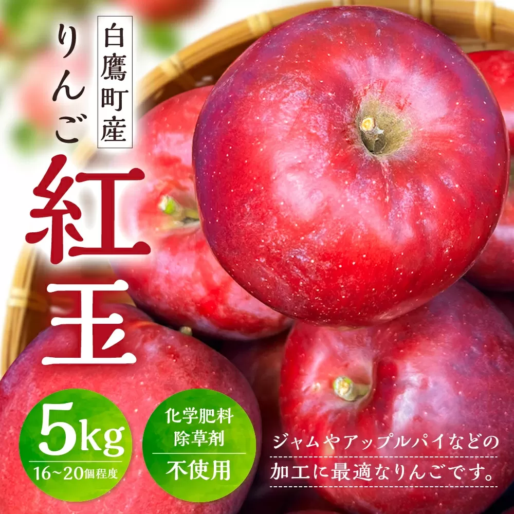 白鷹町産りんご （紅玉） 5kg りんご 林檎 果物 くだもの フルーツ 旬 紅玉 国産 山形県 白鷹町 【2025年9月下旬～10月上旬発送予定】