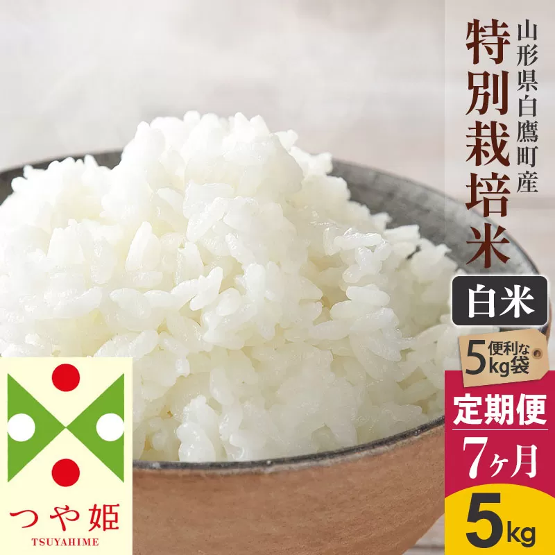 《定期便7ヶ月》【白米】つや姫 5kg×7回（特別栽培米）令和5年産 山形県産 しらたかのお米