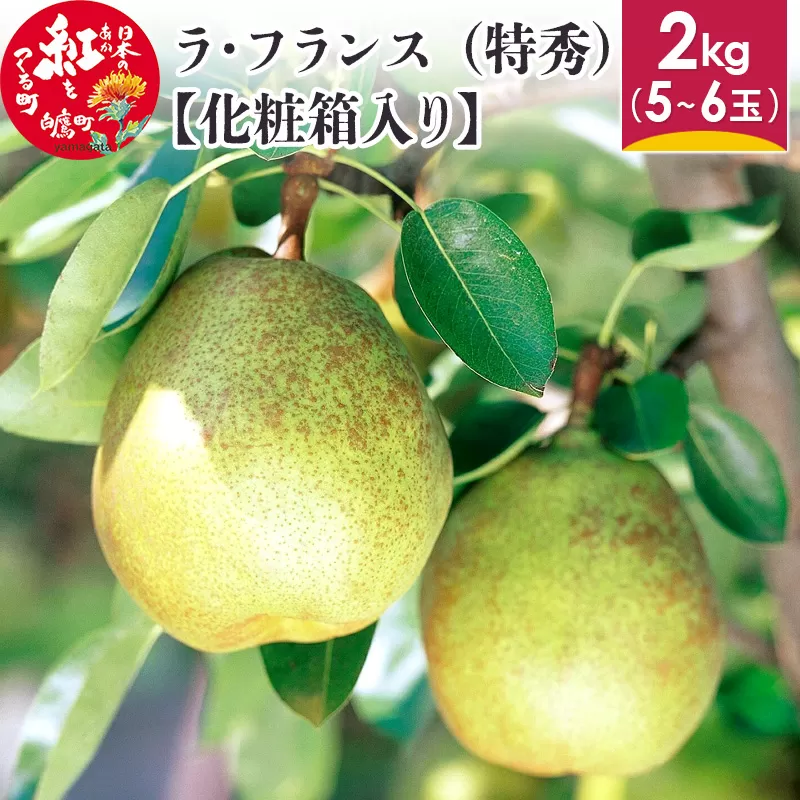 ラ・フランス （特秀) 2kg【化粧箱入り】 山形県産 フルーツ 果物 【2024年11月上旬～12月上旬に順次発送予定】