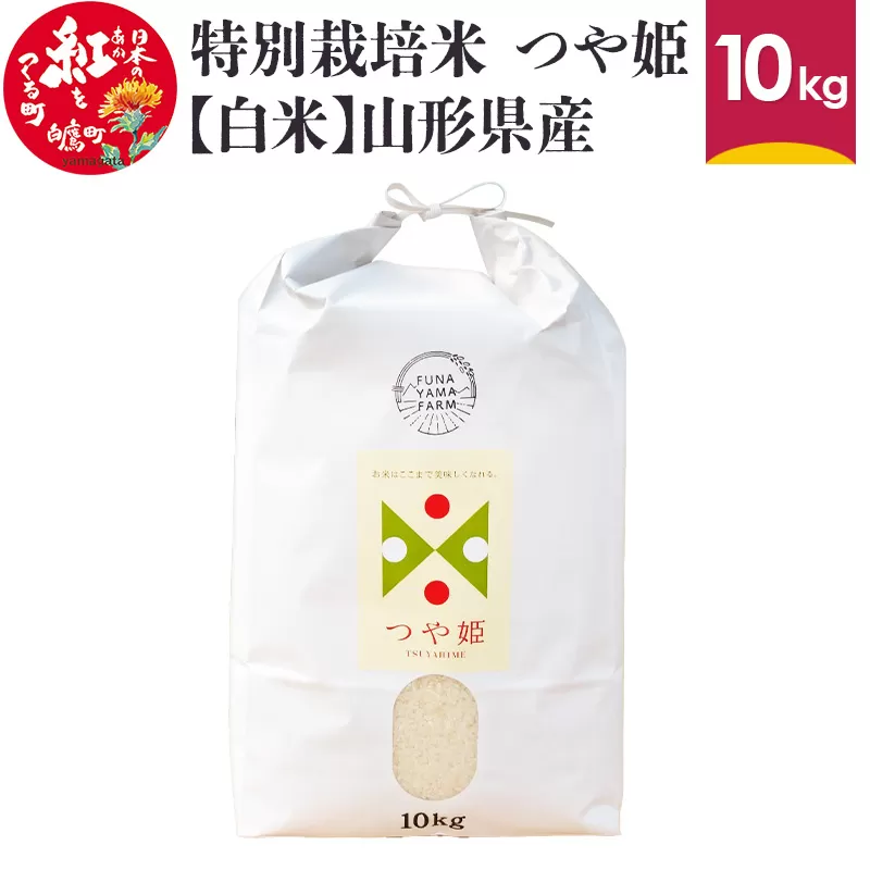 特別栽培米 つや姫 10kg 【白米】 山形県産 【船山ファーム】令和5年産