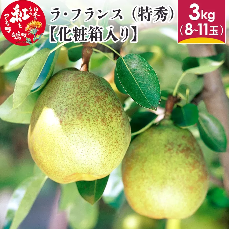 ラ・フランス (特秀) 3kg【化粧箱入り】 山形県産 フルーツ 果物 【2024年11月上旬～12月上旬に順次発送予定】