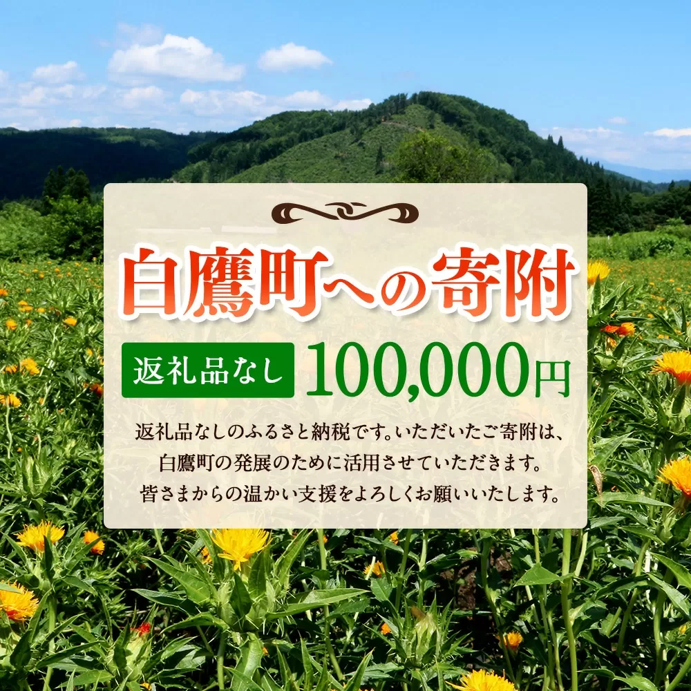 白鷹町への寄附（返礼品はありません） 100,000円 山形県 白鷹町 返礼品なし