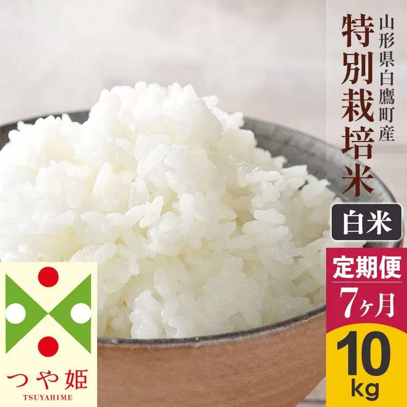 《定期便7ヶ月》【白米】つや姫 10kg×7回（特別栽培米）令和5年産 山形県産 しらたかのお米