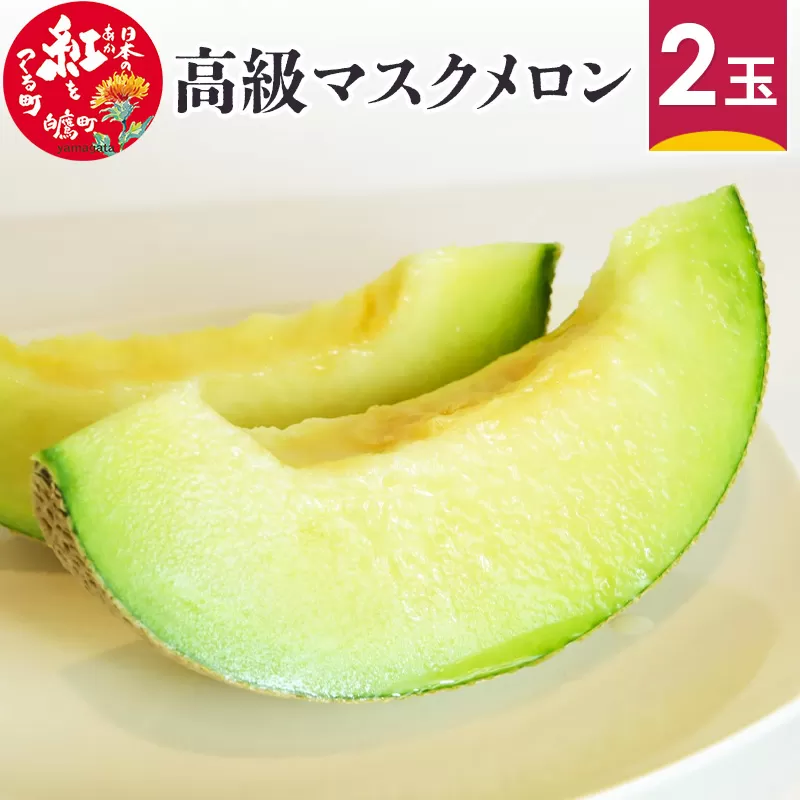 高級マスクメロン 2玉 山形県産 果物 フルーツ 【2024年9月上旬に順次発送予定】