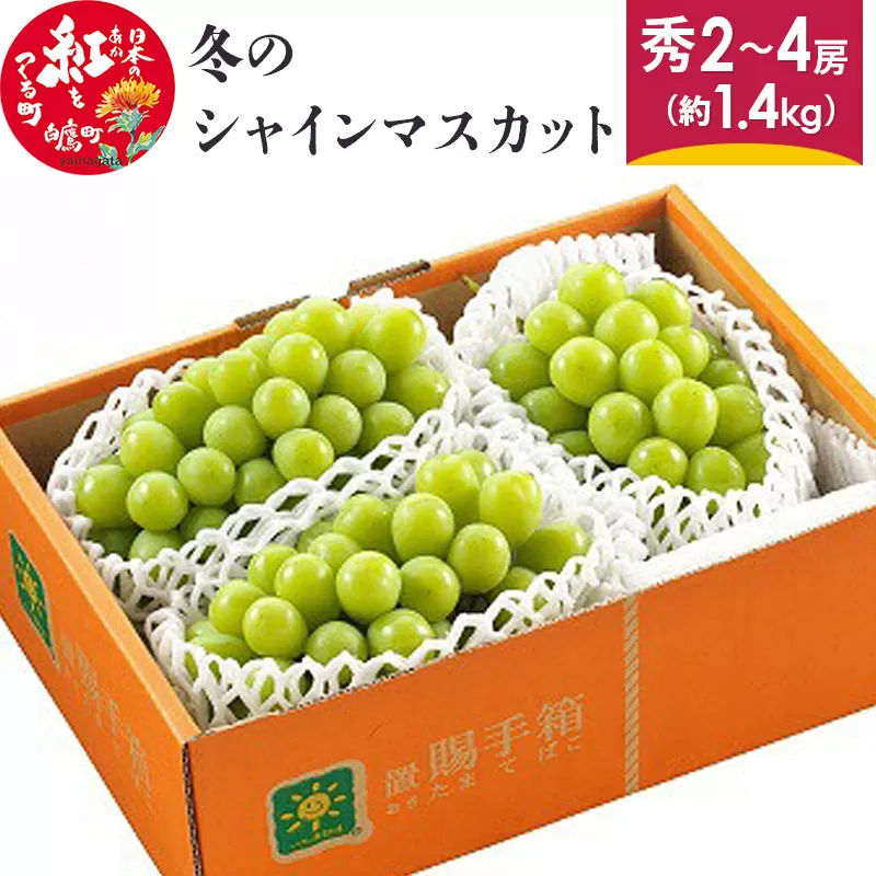 冬のシャインマスカット 秀2〜4房（約1.7kg） 山形県産 フルーツ 果物 ブドウ ぶどう 葡萄 【2025年12月下旬発送予定】