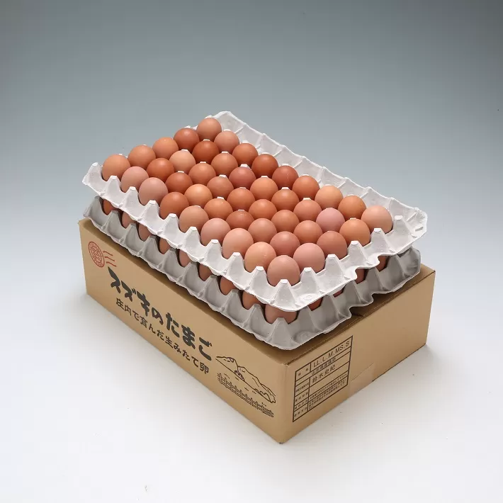 スズキのたまご　地養卵　MS〜L　約5kg（80〜90個）