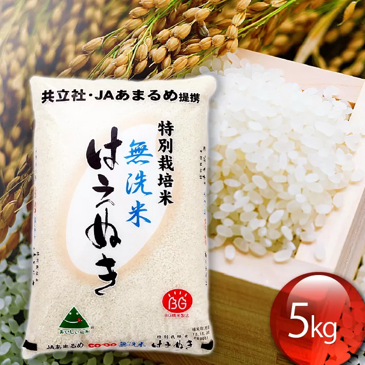 特別栽培米はえぬき無洗米  5kg