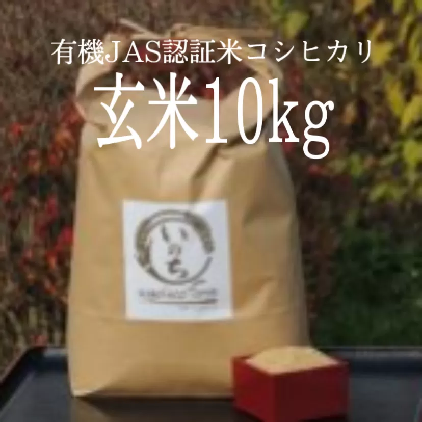 有機JAS認証米コシヒカリ玄米10kg