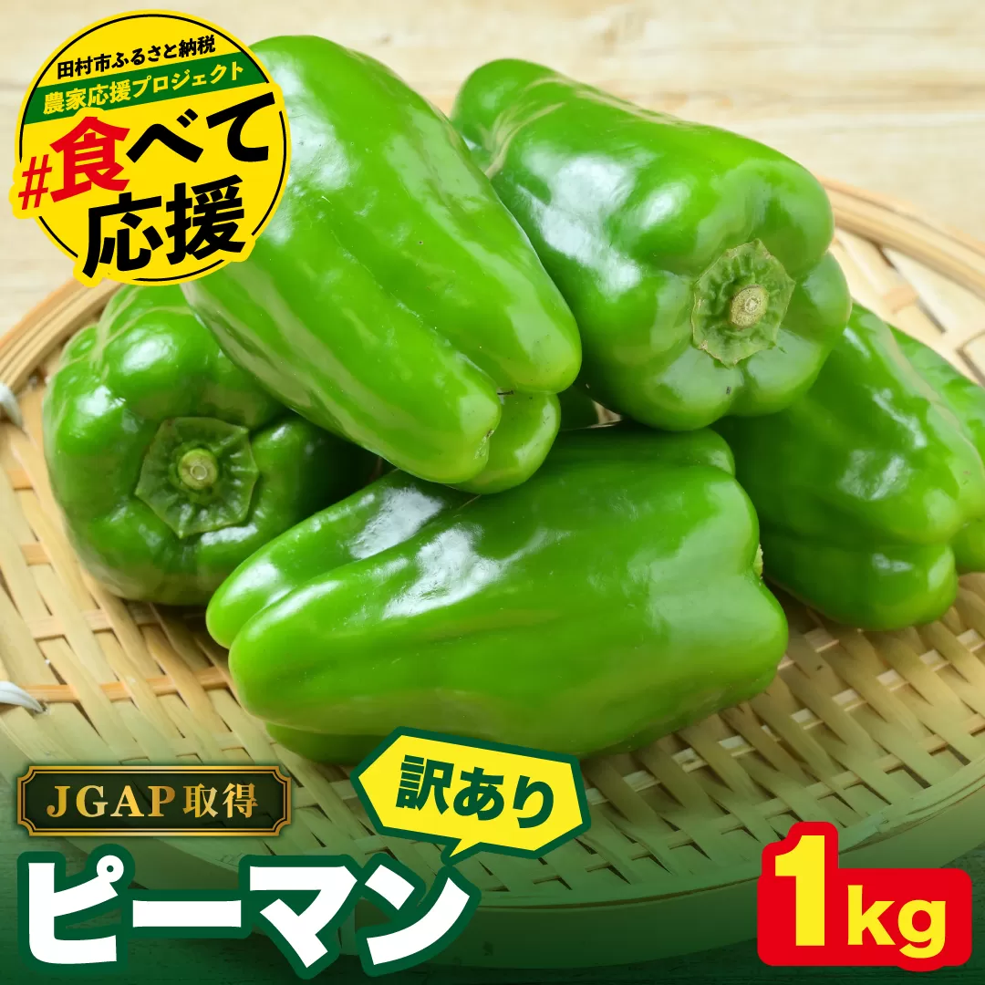 農家さん応援！ 【訳あり】 ピーマン 1kg JGAP取得 農家直送 冷蔵便 野菜 新鮮 BBQ 焼肉 国産 おすすめ 送料無料  緊急支援品 生活応援 コロナ支援 福島県 田村市 株式会社Mファーム