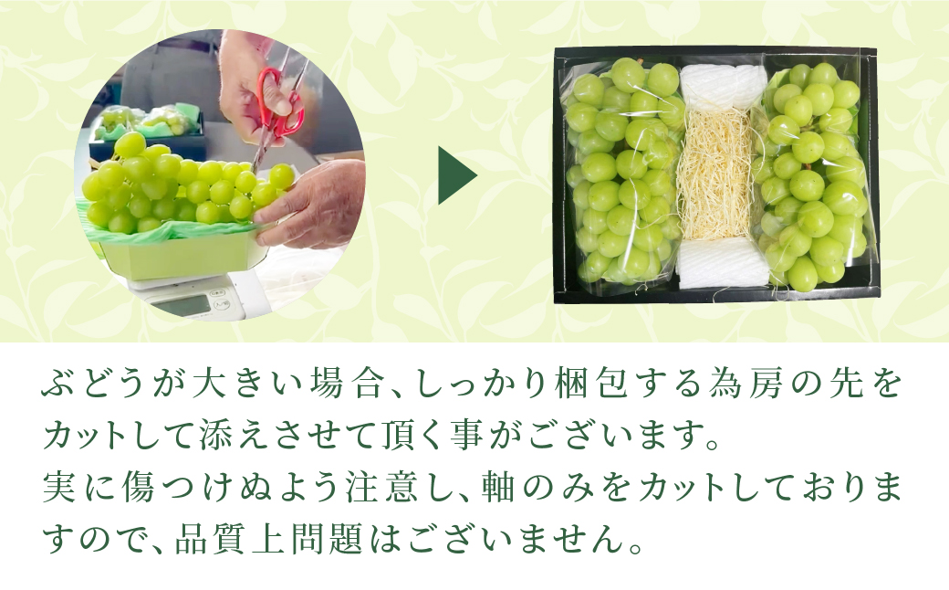 おすぬ様 無かっ