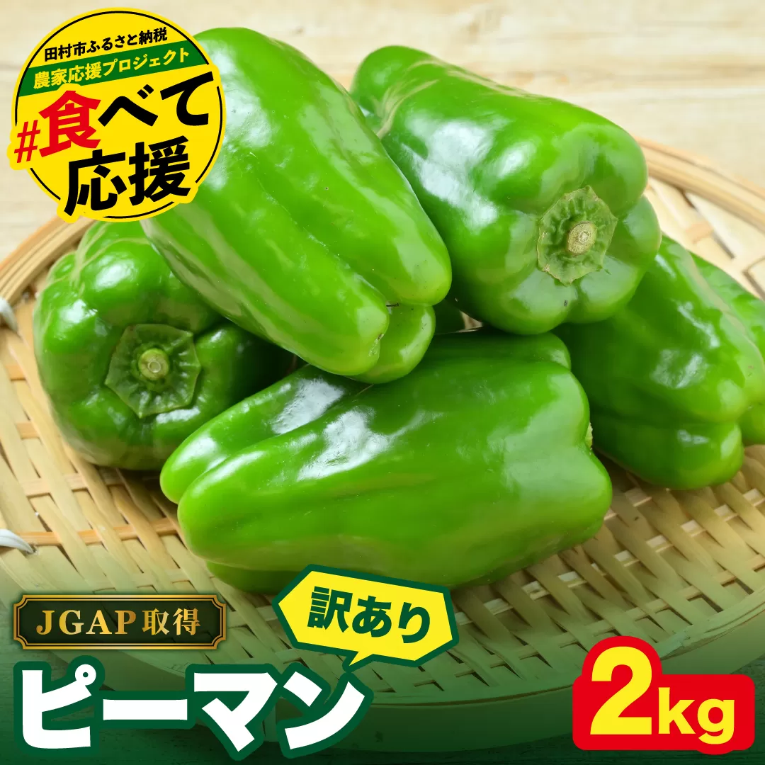 農家さん応援！ 【訳あり】 ピーマン 2kg JGAP取得 農家直送 冷蔵便 野菜 新鮮 BBQ 焼肉 国産 おすすめ 送料無料  緊急支援品 生活応援 コロナ支援 福島県 田村市 株式会社Mファーム