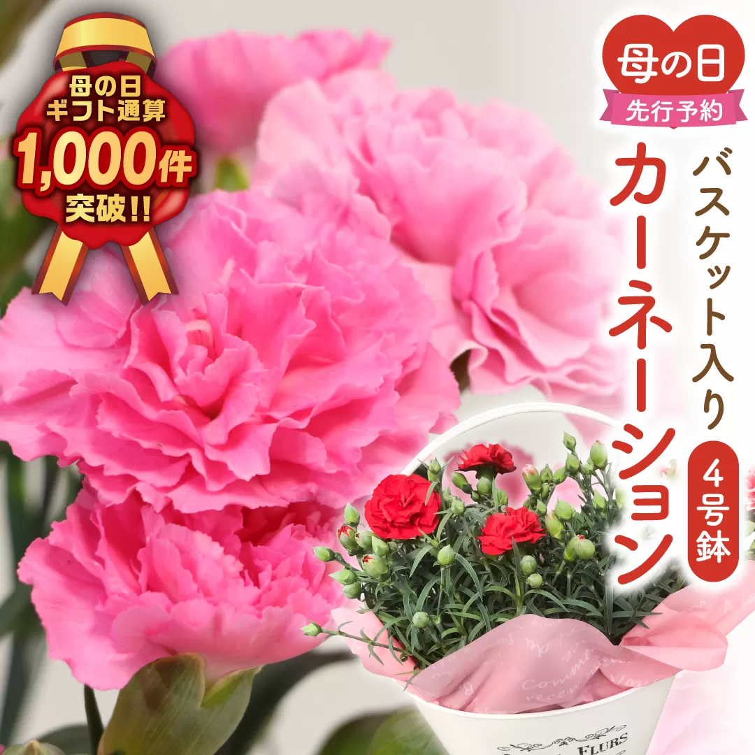 ＼先行受付 令和8年5月10日の母の日お届け：5月6日(水) 決済完了分まで！／  カーネーション 2種「 4号鉢 バスケット 入り 」 母の日直前にお届け 2026年 お母さんへの心を込めた贈り物 長持ち 鉢植え フラワーセット プレゼント 送料無料 故郷納税 福島県 田村市 フローラハシモト