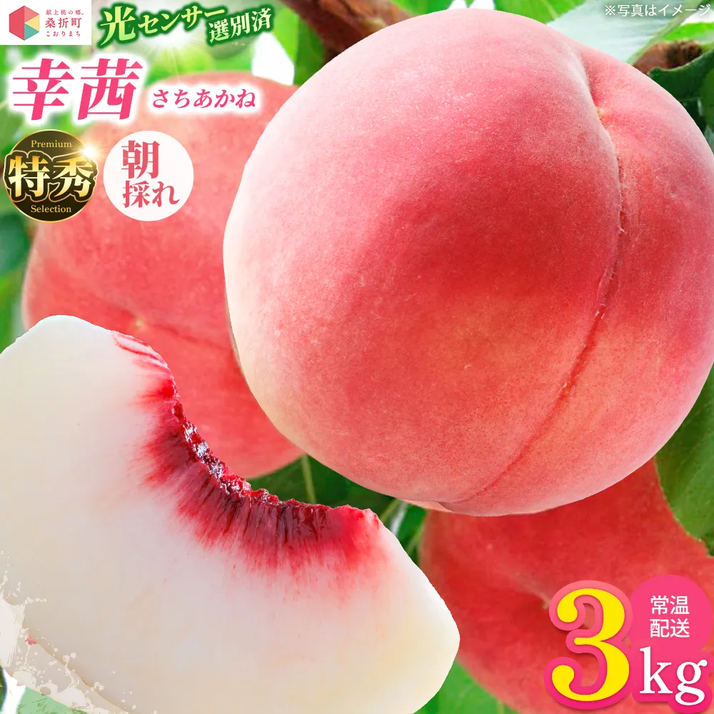 もも【幸茜・2026年産】特秀 3kg 桑折町産 JAふくしま未来 桃 献上桃の郷 【07301-0140】