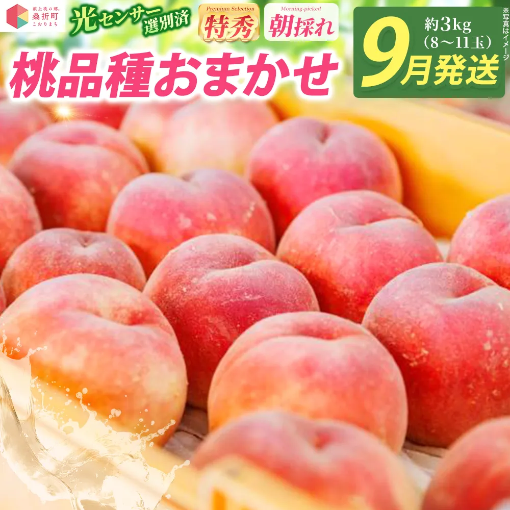 もも【2026年産9月発送／品種おまかせ】特秀3kg（8〜11玉）桑折町振興公社　献上桃の郷　【07301-0234】