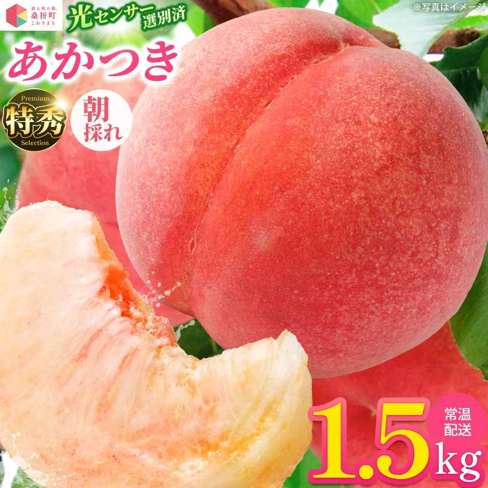 もも【あかつき・2027年産先行予約】特秀1.5kg「献上桃の郷ブランド品」桑折町産 JAふくしま未来 桃 / もも モモ 果物 フルーツ 旬 甘い 甘み ジューシー 果肉 果汁 新鮮 フレッシュ デザート おいしい 産地直送 桑折 こおり こおりまち 福島県 特産品 献上桃の郷 【07301-0136】