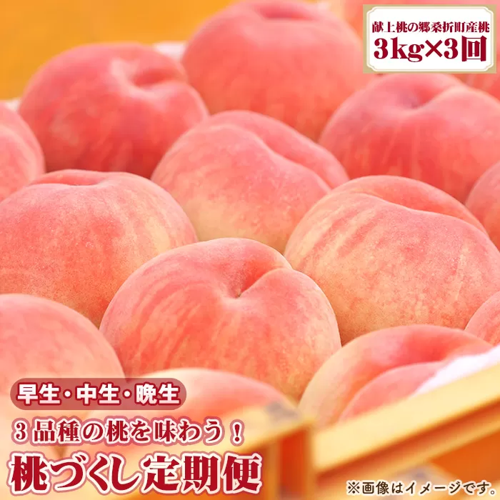 【2026年産先行受付・献上桃の郷桑折町産もも】定期便3kg×3回 品種おまかせ No.255