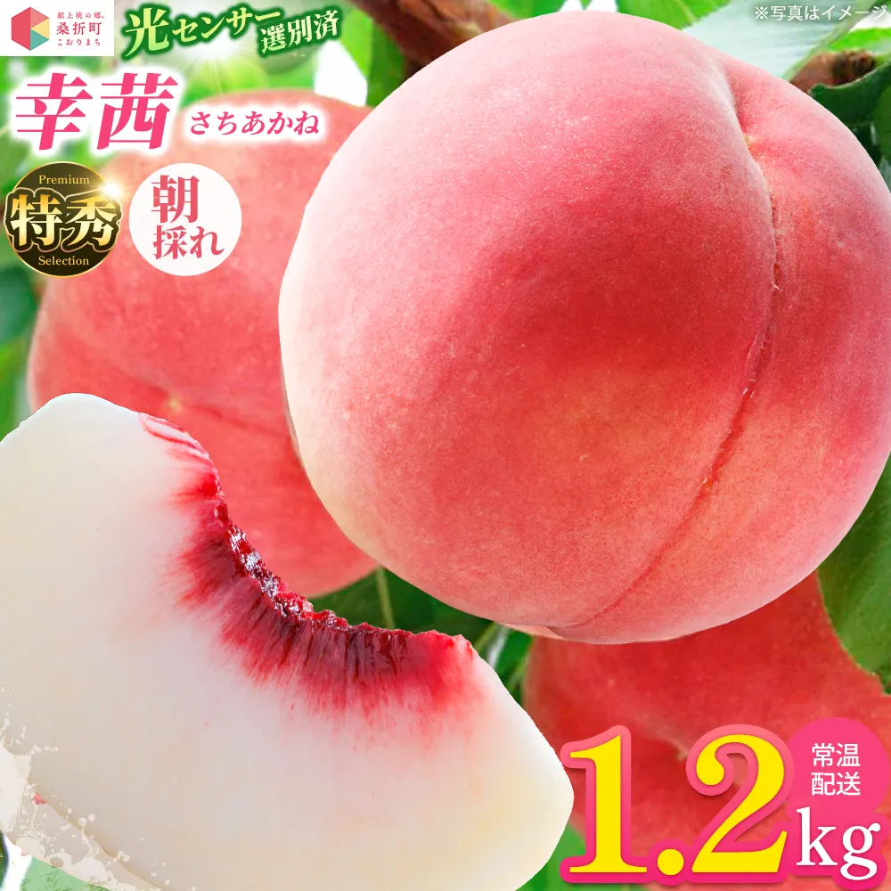 もも【幸茜・2026年産】特秀1.2kg 桑折町産 JAふくしま未来 桃 献上桃の郷 【07301-0228】