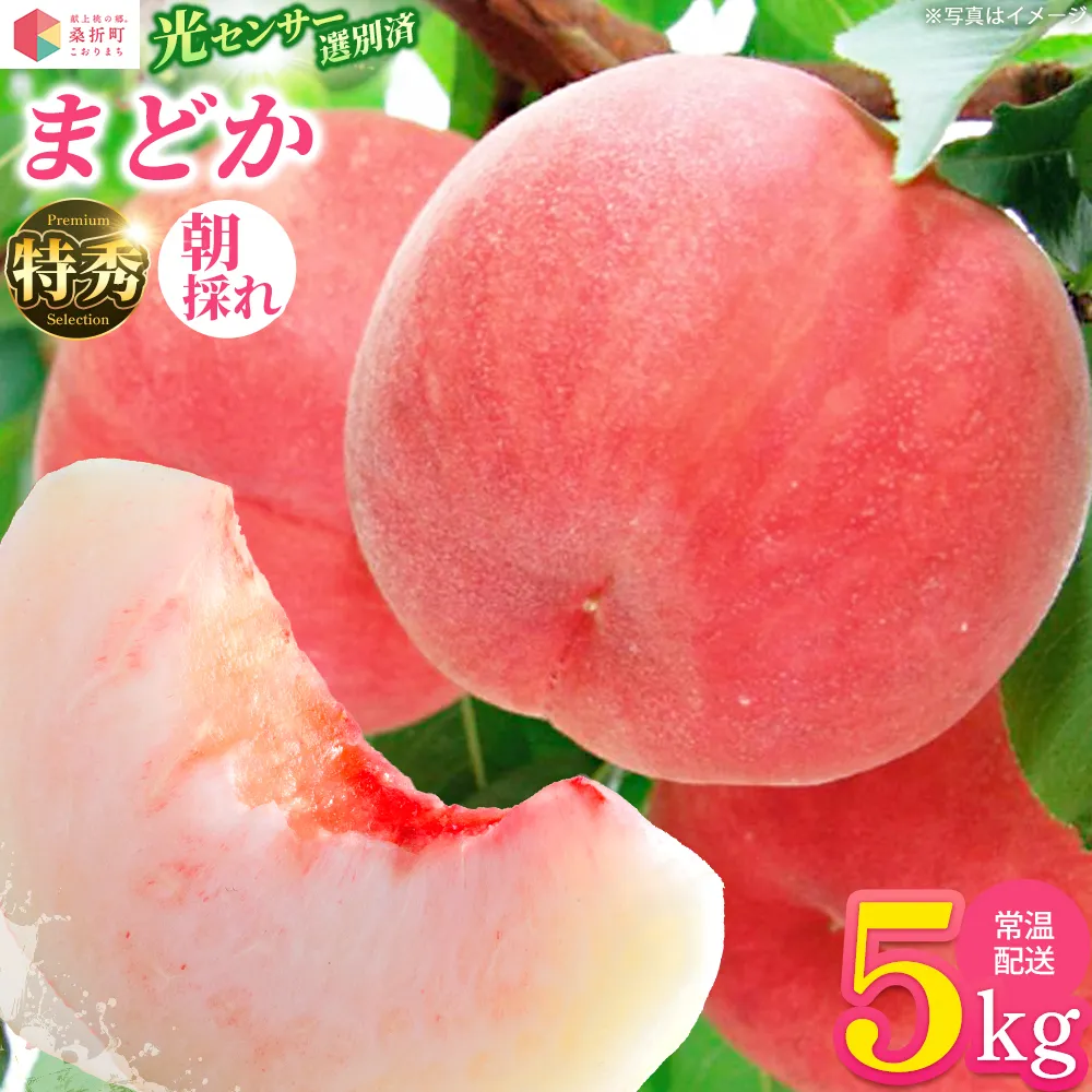 もも【まどか・2026年産】特秀　5kg　桑折町産　JAふくしま未来　桃　献上桃の郷　【07301-0235】