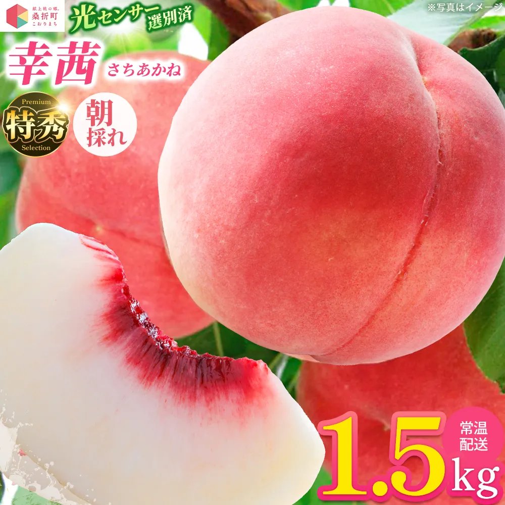 もも【幸茜・2026年産】特秀1.5kg 桑折町産 JAふくしま未来 桃 献上桃の郷 【07301-0139】