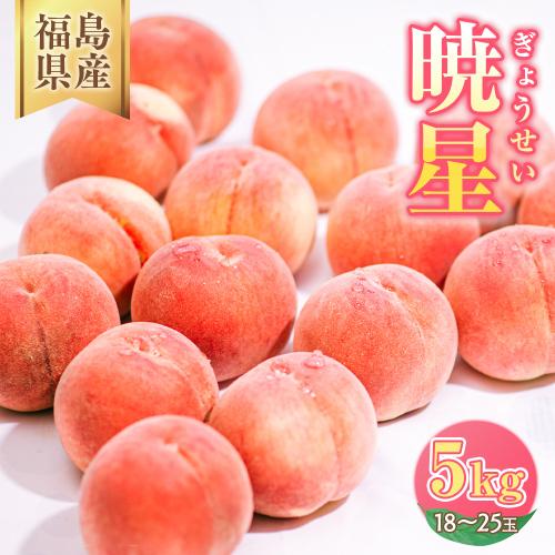 ◆2026年夏発送◆暁星～産直・桃・約5kg～ ※離島への配送不可 ※2026年7月上旬～7月下旬頃に順次発送予定 ｜ 先行予約 予約 数量限定 桃 もも モモ 果物 くだもの フルーツ 詰め合わせ 福島 ふくしま