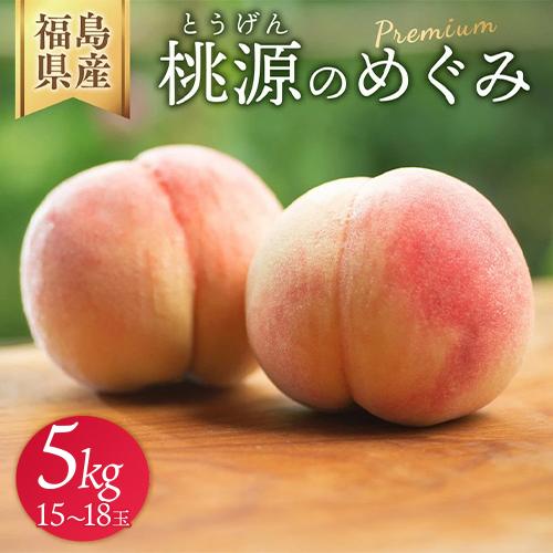 ◆2026年夏発送◆桃源のめぐみ~産直・桃・約5kg~ ※離島への配送不可 ※2026年7月上旬~9月上旬頃に順次発送予定 | 先行予約 予約 数量限定 桃 もも モモ 果物 くだもの フルーツ 詰め合わせ 福島 ふくしま