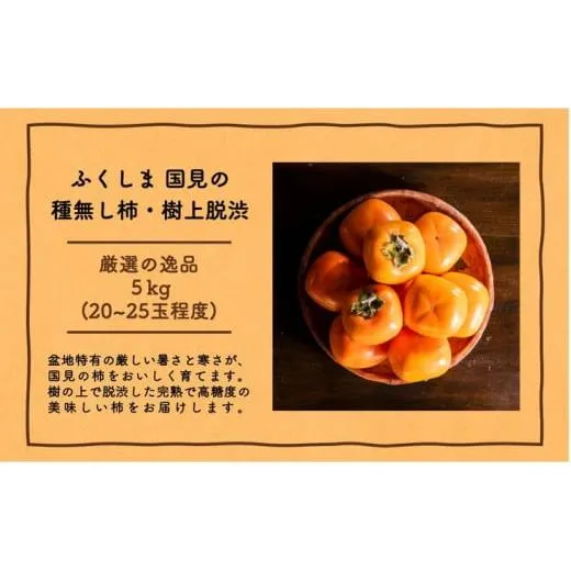 ◆2026年秋発送◆＜ 種無し柿（樹上脱渋）・約5kg ＞ ※2026年10月下旬～11月下旬頃に順次発送予定★