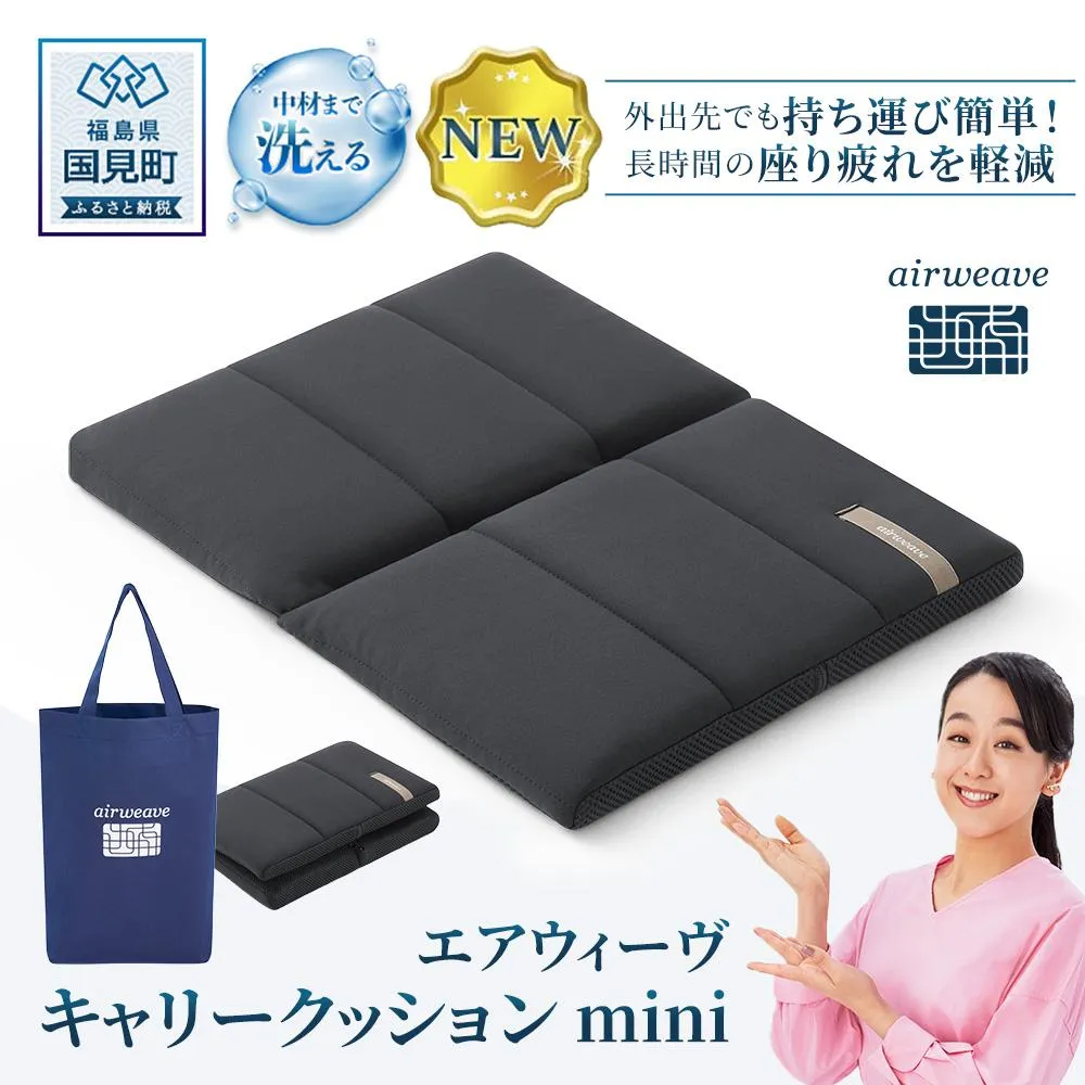 エアウィーヴ キャリークッションmini | airweave おすすめ エアウィーブ air weave 洗える 洗濯 クッション 座布団 椅子 持ち運び ベルト付き★