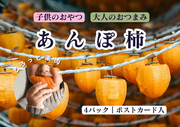 【2回定期便】【季節限定】あんぽ柿（4トレー）※沖縄・離島への配送不可 ※2025年12月上旬～2026年2月下旬頃に順次発送予定