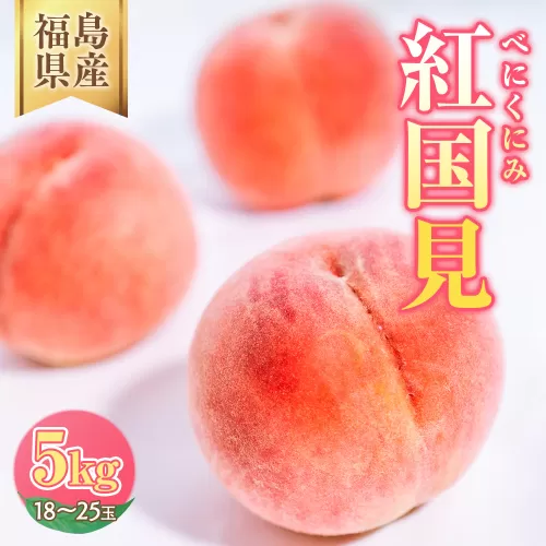 ◆2026年夏発送◆紅国見～産直・桃・約5kg～ ※離島への配送不可 ※2026年7月上旬～7月下旬頃に順次発送予定 ｜ 先行予約 予約 数量限定 桃 もも モモ 果物 くだもの フルーツ 詰め合わせ 福島 ふくしま