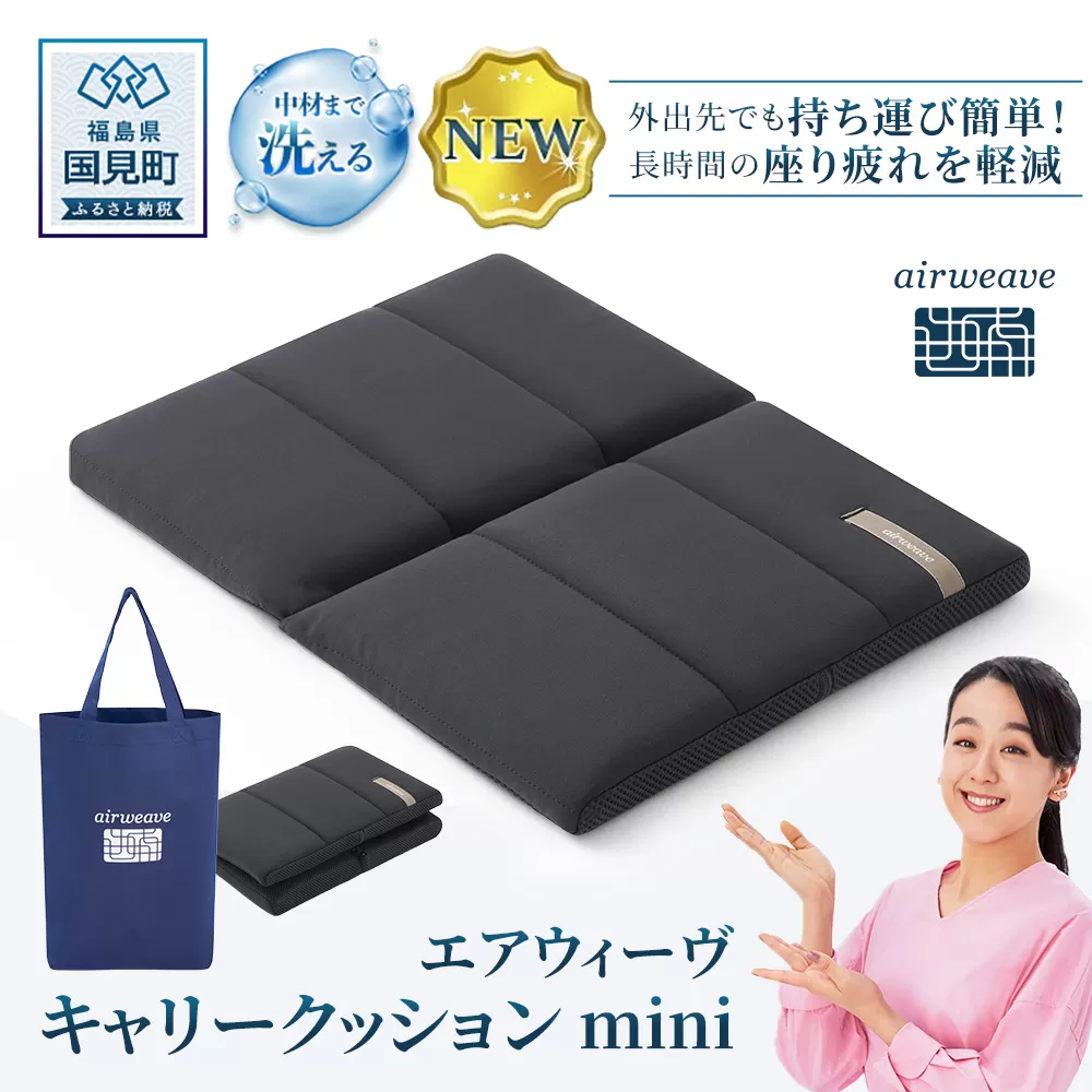 エアウィーヴ キャリークッションmini | airweave おすすめ エアウィーブ air weave 洗える 洗濯 クッション 座布団 椅子 持ち運び ベルト付き