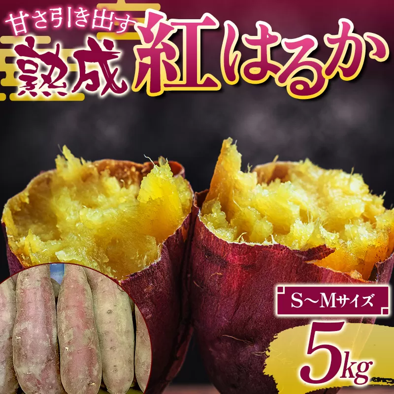 甘さ引き出す 熟成紅はるか 5kg さつまいも S〜Mサイズ サツマイモ さつま芋 甘い おやつ 食品  F21T-471