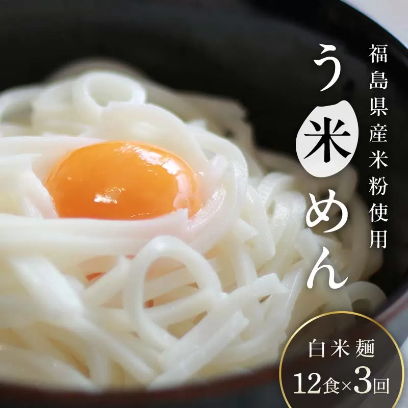 【3か月定期便】グルテンフリー 米粉で作った麺「う米めん」12食入り×3回 F21T-454