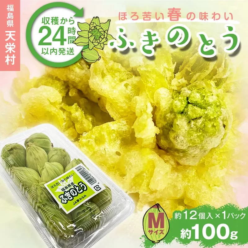 収穫から24時間以内に発送！ほろ苦い春の味わい「ふきのとう」Mサイズ1パック100g（約12個） F21T-349