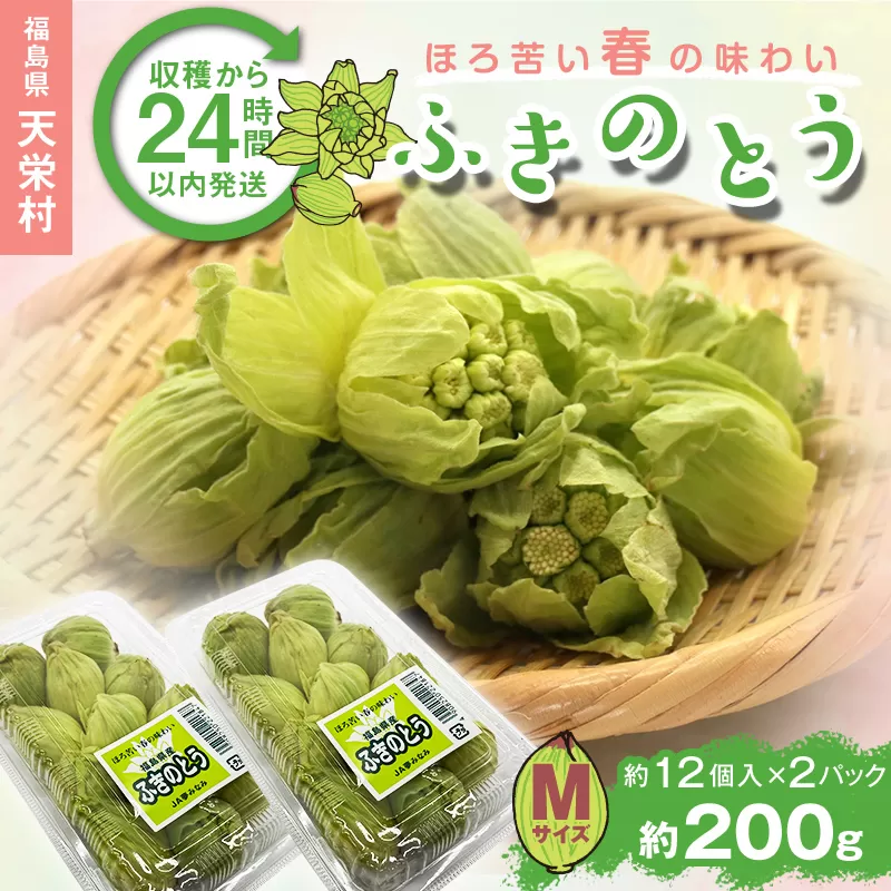 収穫から24時間以内に発送！ほろ苦い春の味わい「ふきのとう」Mサイズ200g（約24個） F21T-350