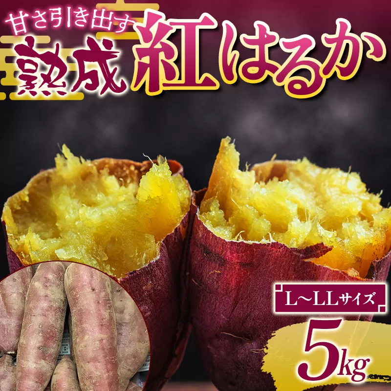 甘さ引き出す 熟成紅はるか 5kg さつまいも L〜LLサイズ サツマイモ さつま芋 甘い おやつ 食品  F21T-472