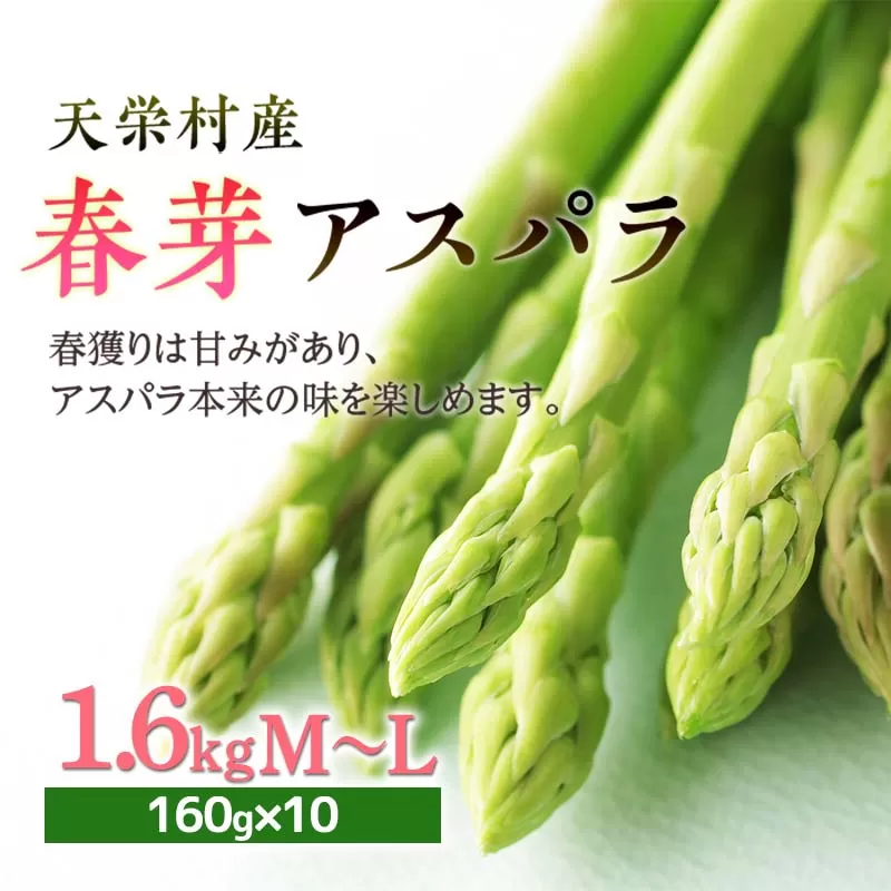【先行予約】 ≪天栄村産≫春芽アスパラM〜Lサイズ 1.6kg F21T-070