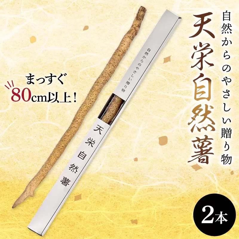 自然からのやさしい贈り物 天栄自然薯2本 贈答用にも 山芋 芋 イモ 根菜 福島県 天栄村 F21T-462