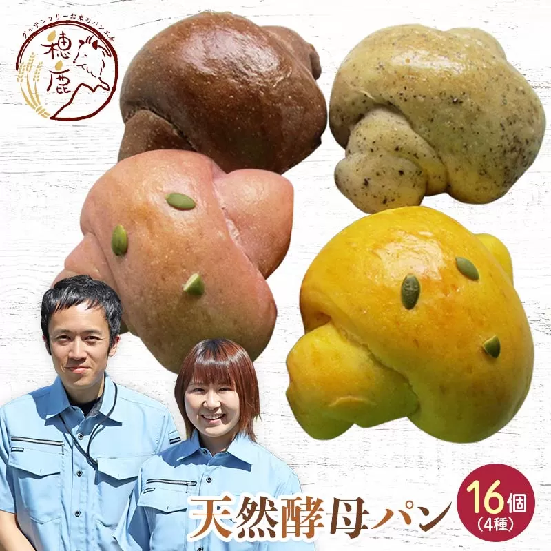 国産小麦 使用 いろどり 自家製 天然酵母 パン 16個セット かぼちゃ ごま 紫芋 ココア F21T-140