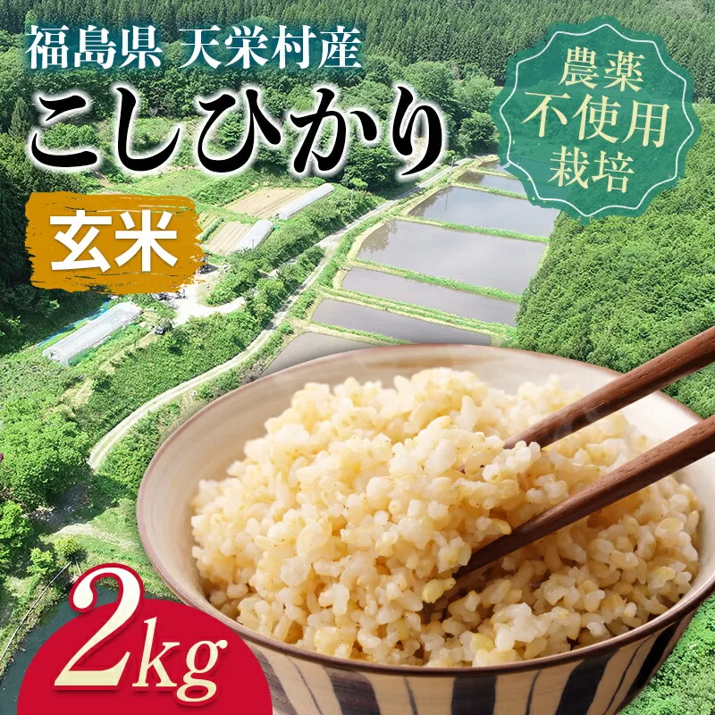 ＜2024年12月上旬以降発送＞自然農法で育ったお米「こしひかり」玄米 2kg F21T-142