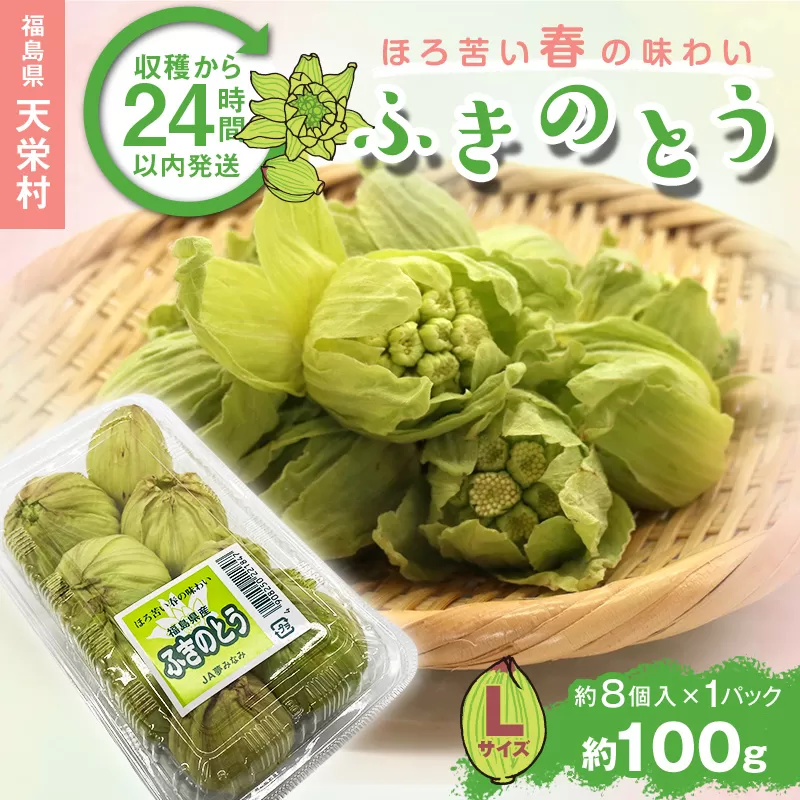 収穫から24時間以内に発送！ほろ苦い春の味わい「ふきのとう」Lサイズ1パック100g（約8個） F21T-347