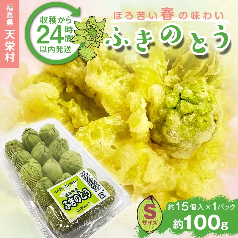 収穫から24時間以内に発送！ほろ苦い春の味わい「ふきのとう」Sサイズ1パック100g（約15個） F21T-351