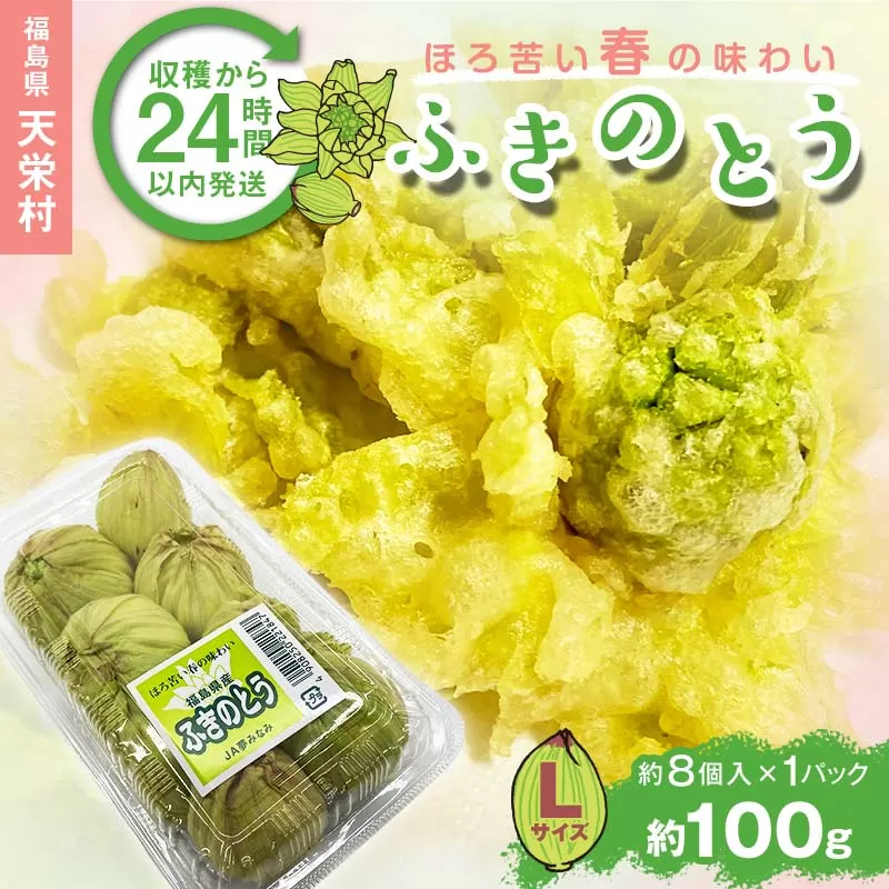 収穫から24時間以内に発送！ほろ苦い春の味わい「ふきのとう」Lサイズ1パック100g（約8個） F21T-347