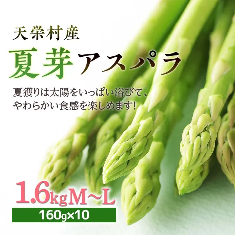 【先行予約】 ≪天栄村産≫夏芽アスパラM〜Lサイズ 1.6kg F21T-071